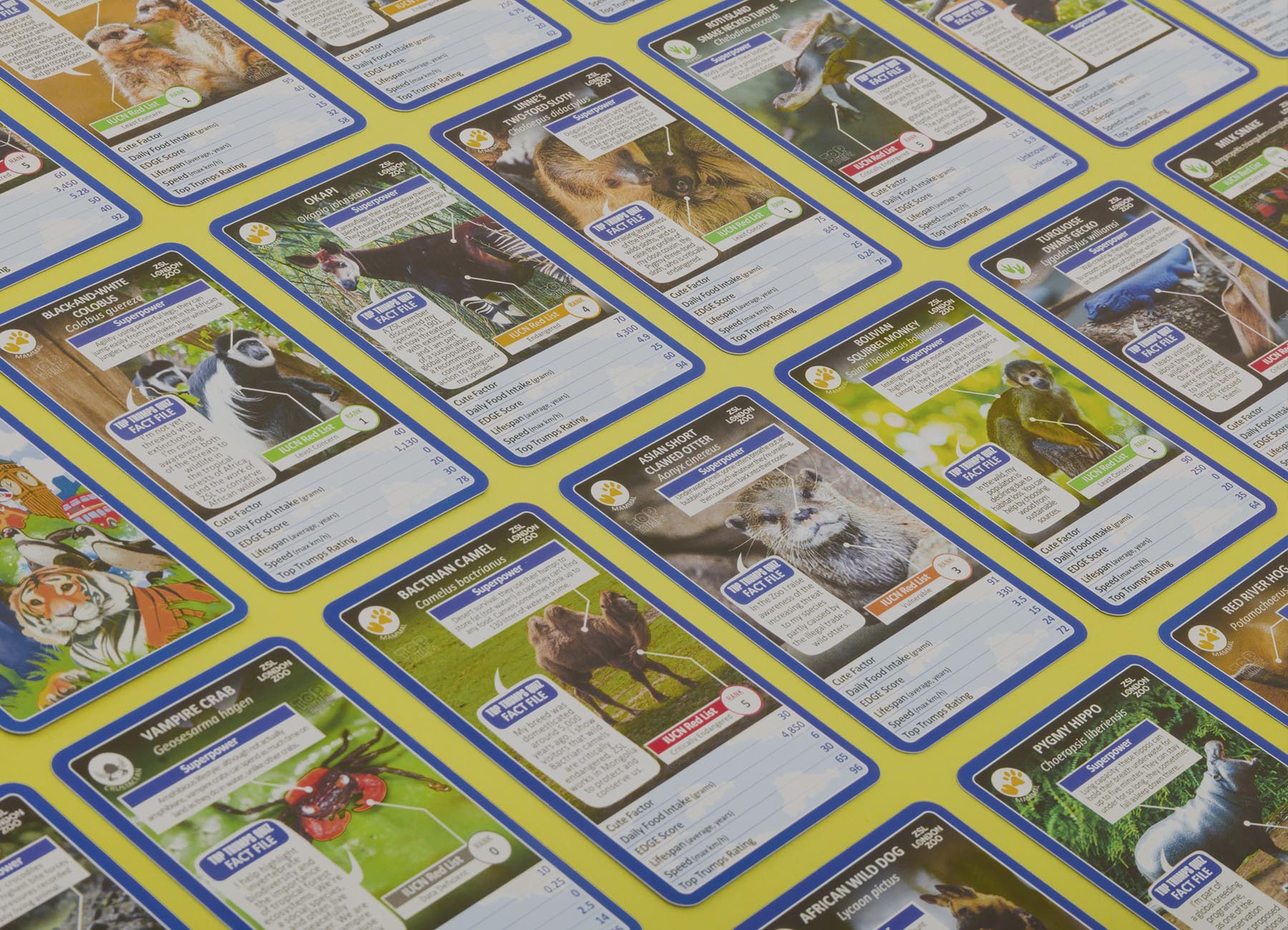 Top Trumps