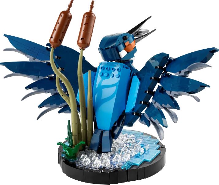Reverse image of Lego Icons Kingfisher Playset