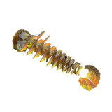 Frilled Lizard 3D Arts & Crafts Model
