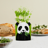Panda Greens and Greetings Growing Kit