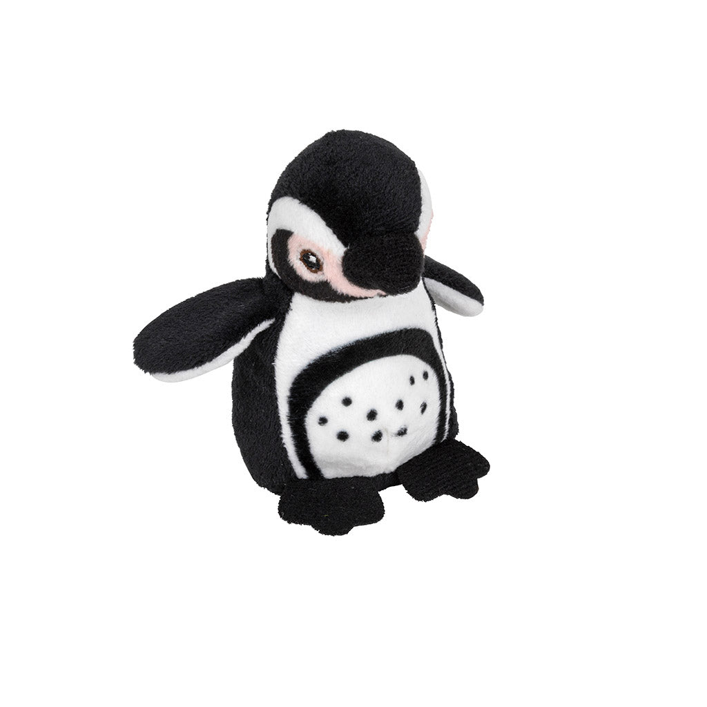 Humboldt Penguin Small Beans Soft Toy ZSL Shop