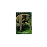 Whipsnade Zoo Elephant Photo Magnet