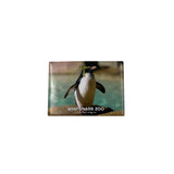 Whipsnade Zoo Penguin Photo Magnet