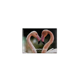London Zoo Flamingo Photo Magnet
