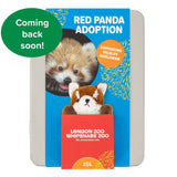 Red Panda Adoption