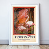 London Zoo Flamingos Poster