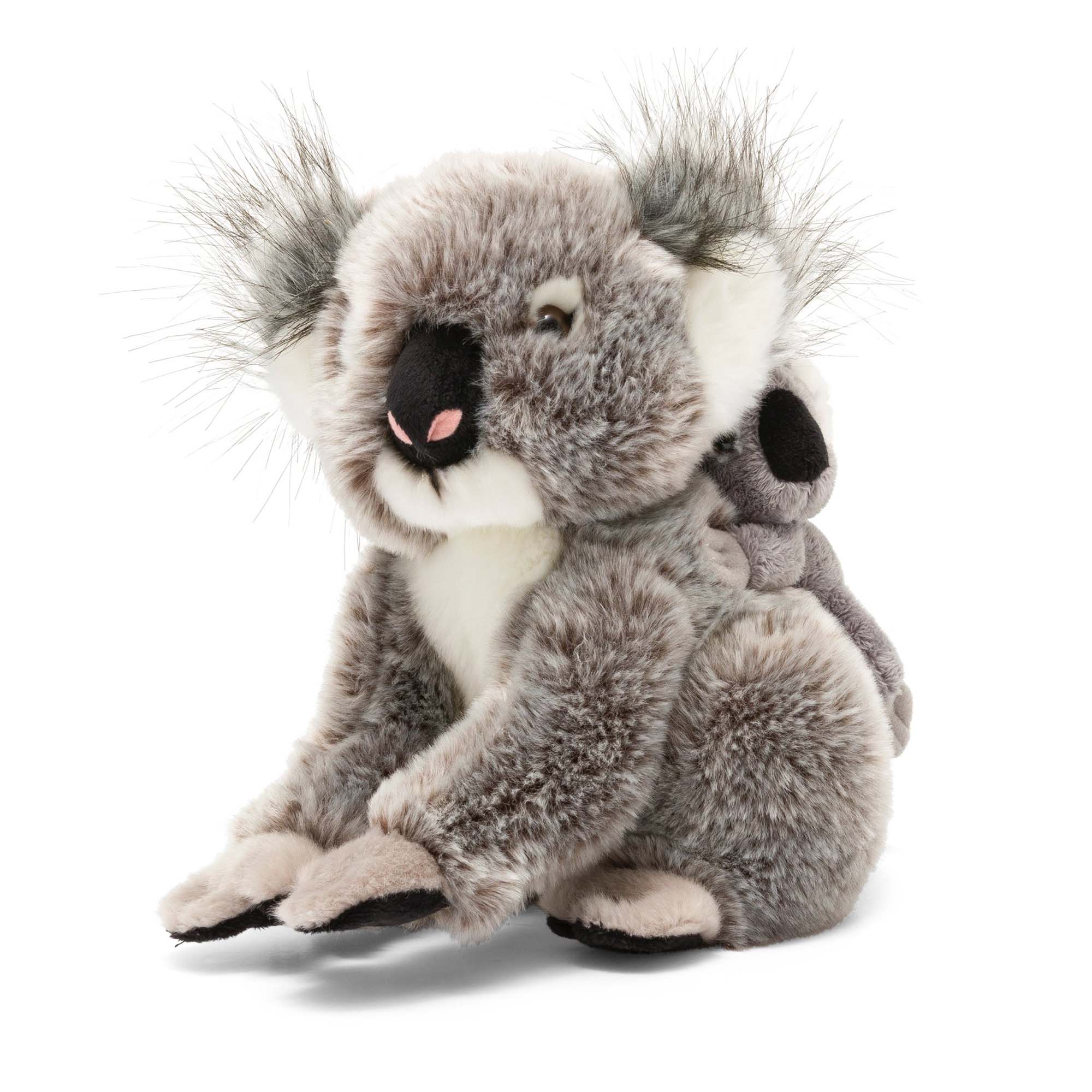 Koala peluche cheap toys r us