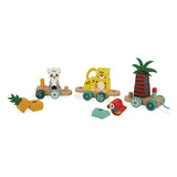Pull Along Tropical Train Wooden Toy