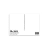 White Rhino & Calf London Zoo | Whipsnade Zoo Postcard