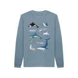 Children's Blue ZSL Sealife Sweatshirt