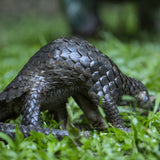 Pangolin Adoption