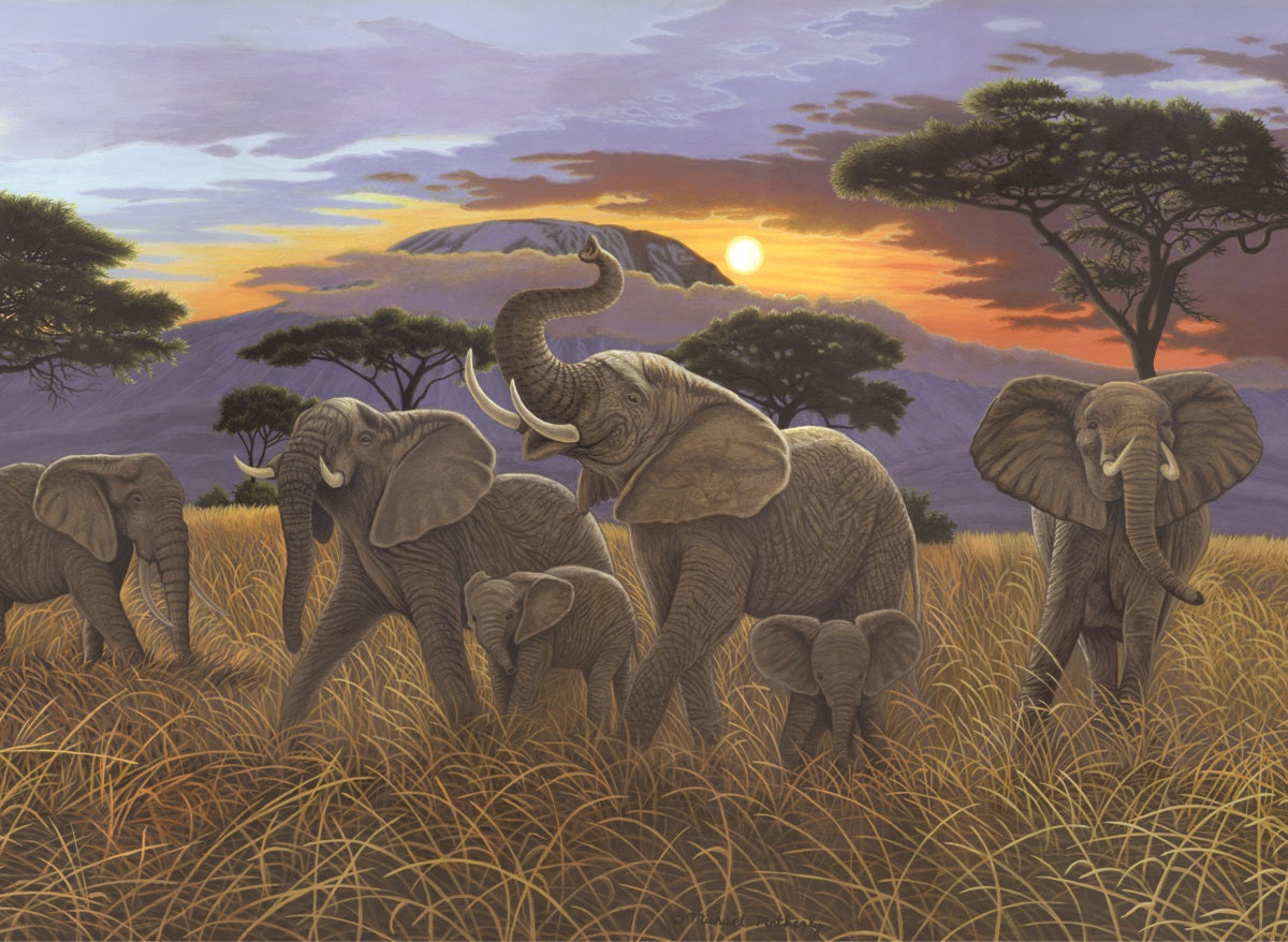 Sunset in Kilimanjaro Paint By Numbers Kit