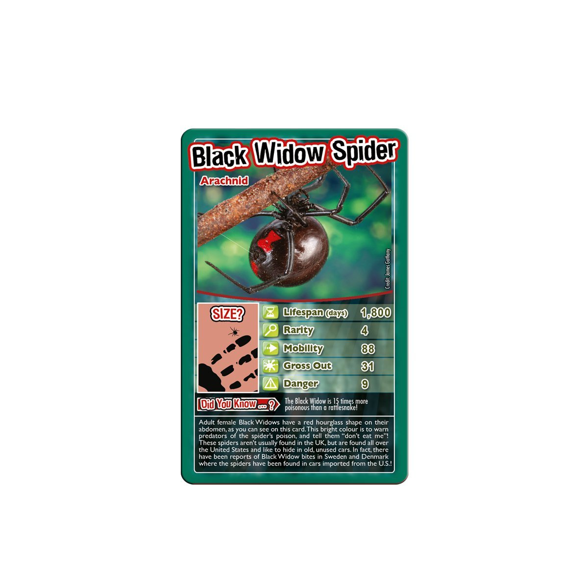 Top Trumps Bugs