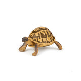 Papo Hermann's Tortoise Figure
