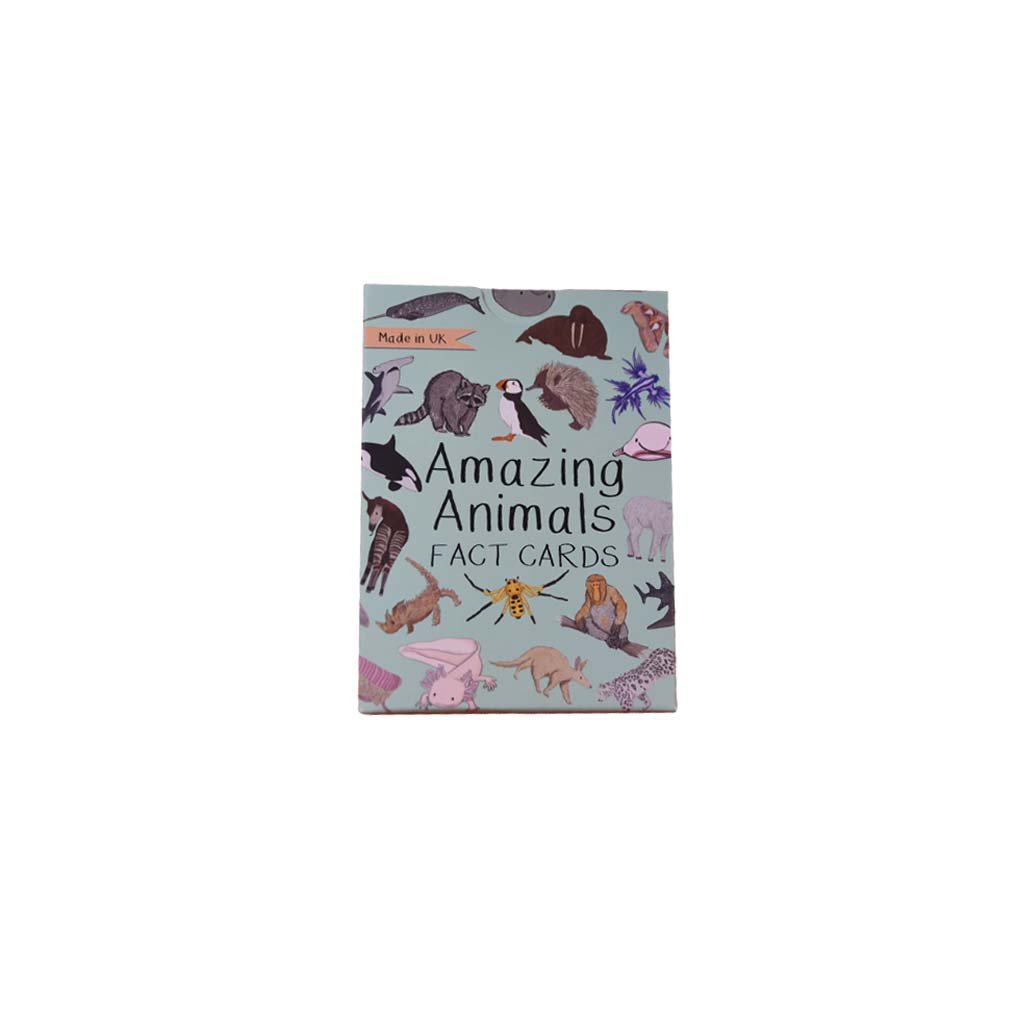 Amazing Animals Fact Cards | ZSL Shop