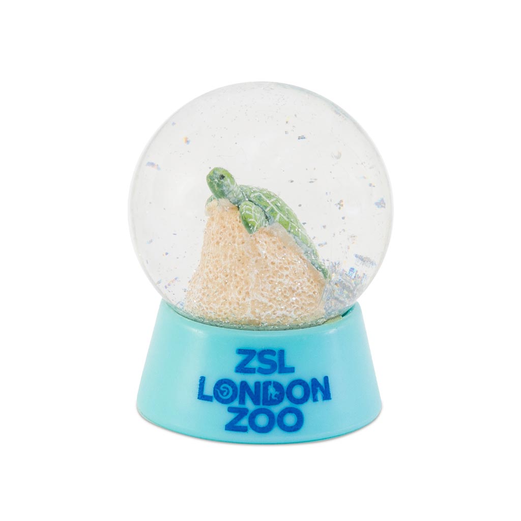 London Zoo Sea Turtle Snow Globe