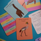 Amazing Animal Fact Cards - Set Two