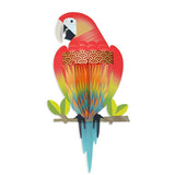Macaw 3D Pop-Up Card