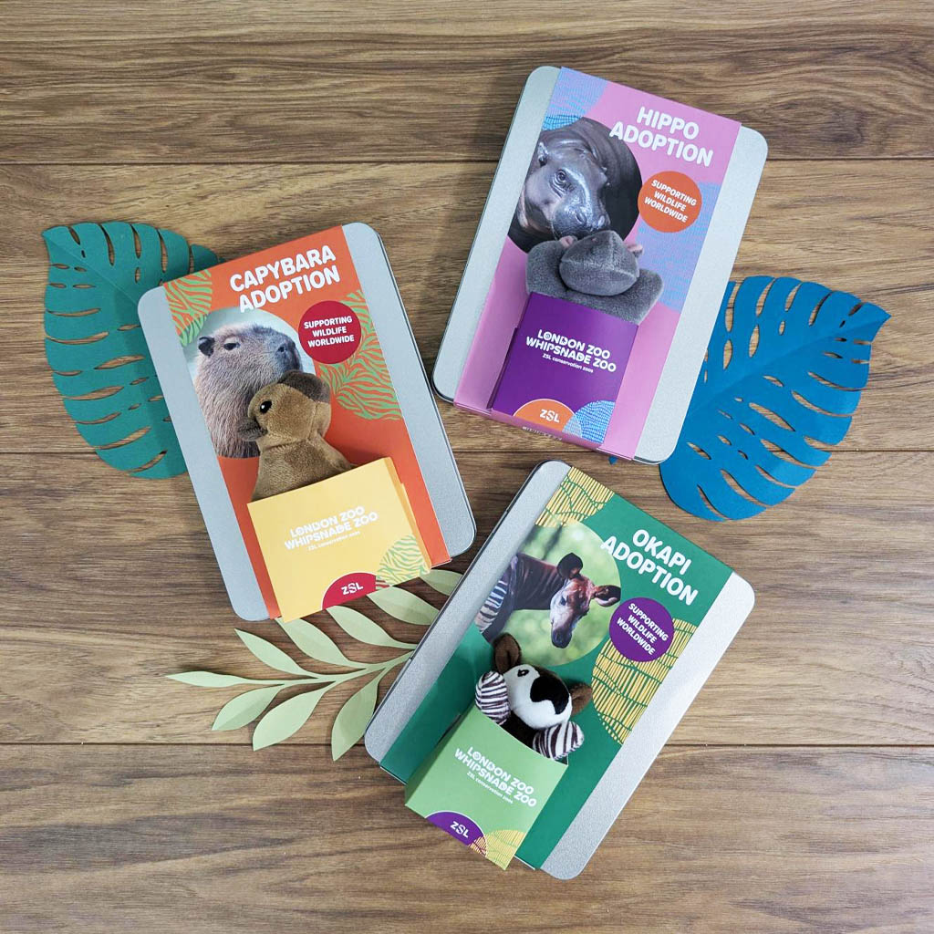 Animal adoption gifts