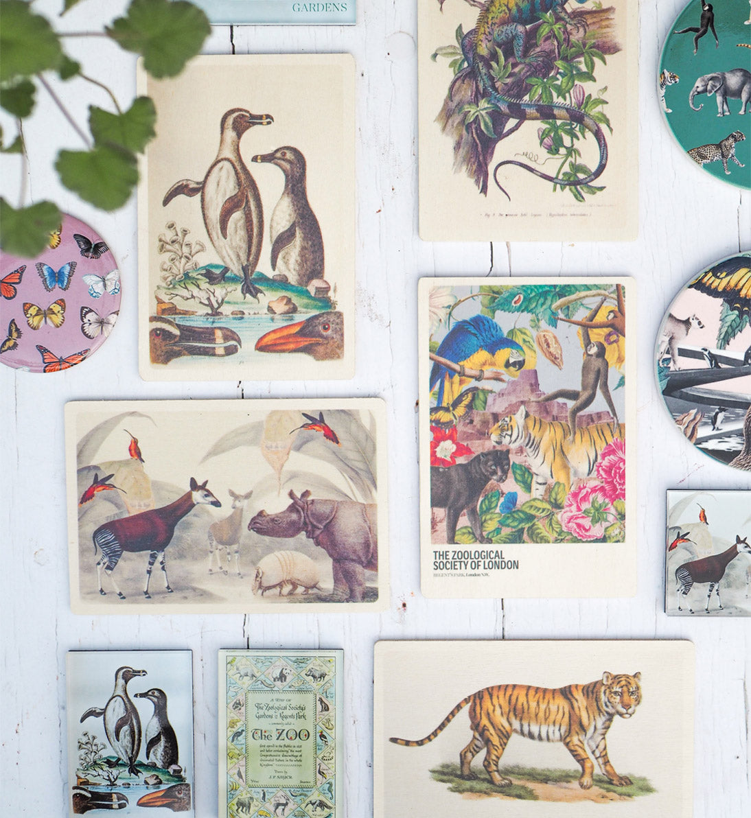 200th Anniversary Collection