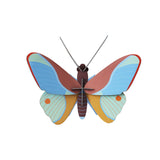 Claudina Butterfly Wall Art