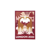 Giraffe London Zoo Postcard