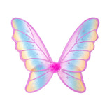 Rainbow Butterfly Wings Fancy Dress Accessory
