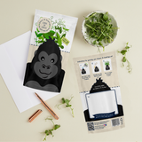 Gorilla Greens and Greetings Growing Kit