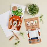 Red Panda Greens and Greetings Growing Kit