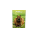 London Zoo Capybara Photo Magnet