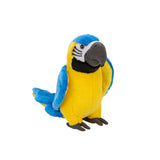 Blue and Gold Macaw Soft Toy, 24cm