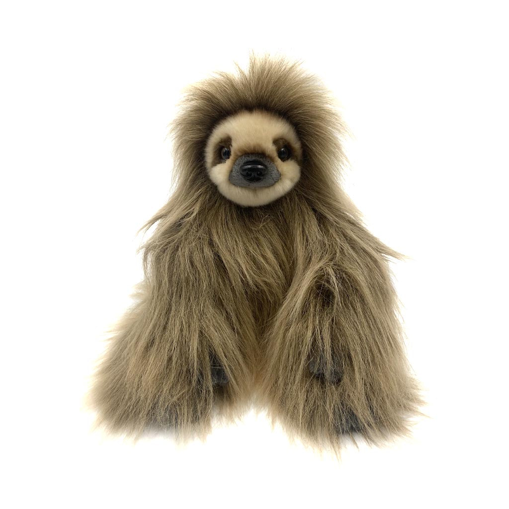 Linne's Sloth Soft Toy, 24cm | ZSL Shop