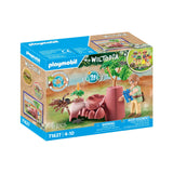 Playmobil Wiltopia Spider's Rock Playset