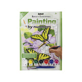 Butterflies Paint By Numbers Kit