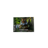 London Zoo Tiger Photo Magnet