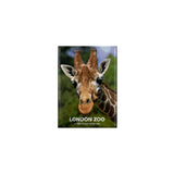 London Zoo Giraffe Photo Magnet
