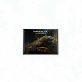 London Zoo Komodo Dragon Photo Magnet