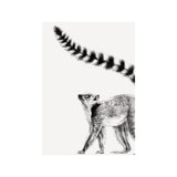 Lemur Monochrome Drawing Greetings Card