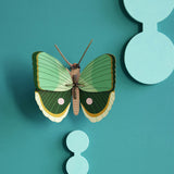 Fern Striped Butterfly Wall Art