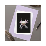 Axolotl Illustration Greetings Card