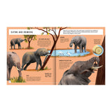 Young Zoologist African Elephant Book