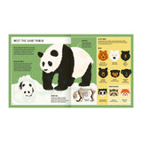 Young Zoologist Giant Panda Book