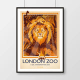 London Zoo Lion Poster