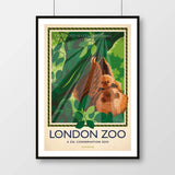 London Zoo Sloth Poster