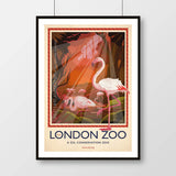 London Zoo Flamingos Poster