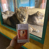 Biscuiteers Lion Biscuit
