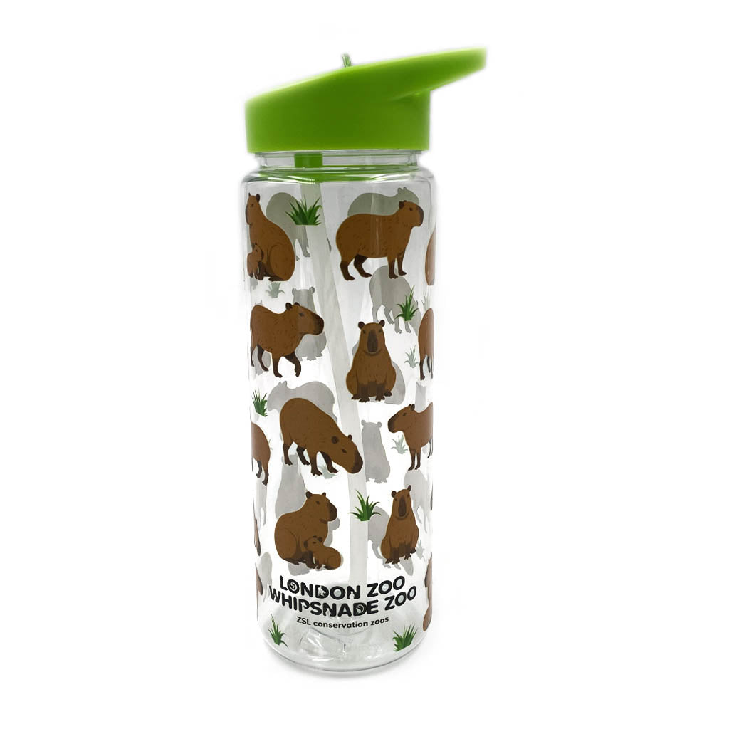Water bottle with capybara print and green lid on a white background