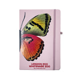 Butterfly Notebook