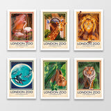 London Zoo Postcards, Set Of 12