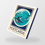 London Zoo Postcards, Set Of 12